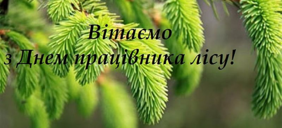 Сьогодні – День працівника лісу
