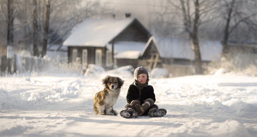 Перший сніг за одноколірністю осени