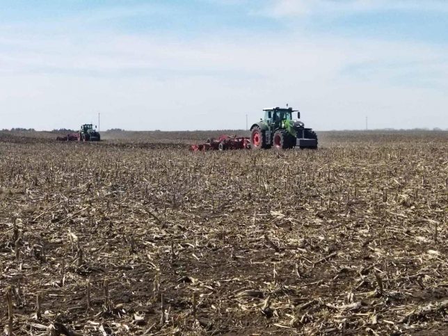 Аграрії Вінниччини скоротять посіви зернових на користь технічних культур