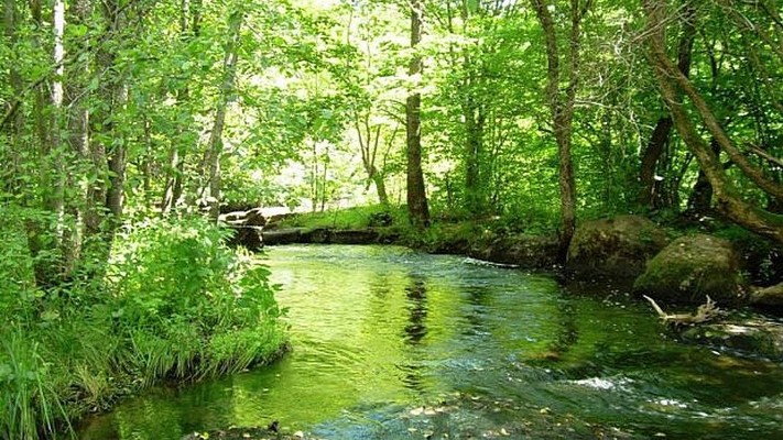 На Житомирщині збільшилася кількість заповідників
