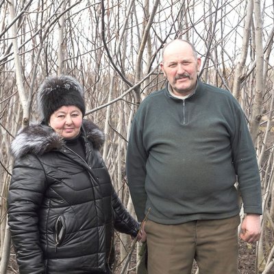 Довелося спалити 2000 саджанців: на Тернопільщині місцеві чиновники знищили горіховий стартап