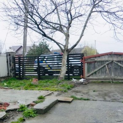  На Коломийщині чоловік повісив собаку: за справу взялася поліція 