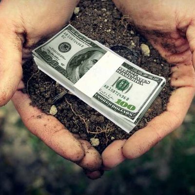 Найбільше грантів агровиробники отримали на Київщині