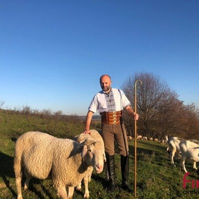 Фермер з Коломийщини розповів про тваринництво у час війни