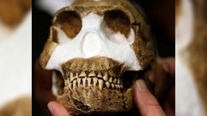 Вчені виявили найдавніше поховання в історії й зроблене воно не нашим видом