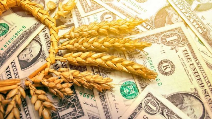 Вартість пшениці знизилася на тлі виходу першого судна із порту Одещини