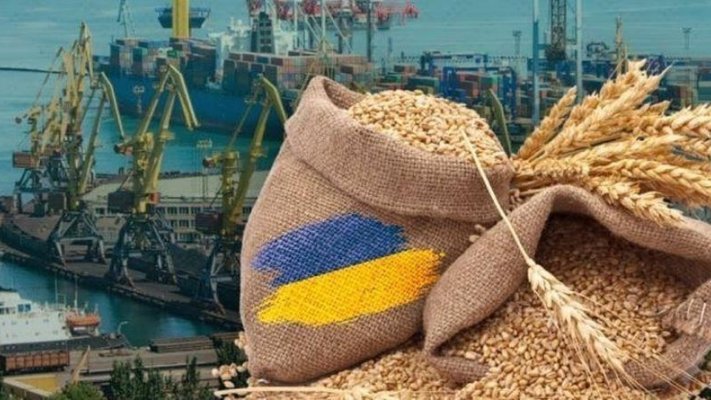 Американська торговельна палата вбачає загрозу українському агроекспорту у схвалених ВР законопроєктах