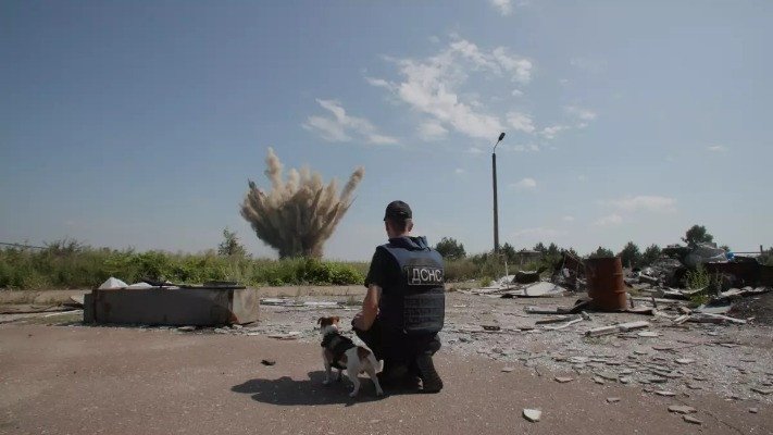 Антон Птушкін зняв свій перший повнометражний фільм «Ми, наші улюбленці та війна»
