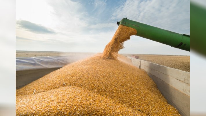 У Євросоюзі анонсували ретельніші перевірки українського зерна