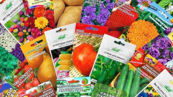  На що потрібно звернути увагу при купівлі насіння: поради
