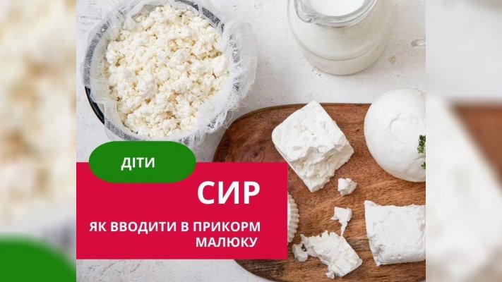 Сир. Як вводити в прикорм малюку? Базові правила (ІНФОГРАФІКА)