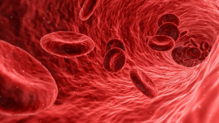 Очищуємо кров і лімфу всього одним продуктом: метод провірений часом