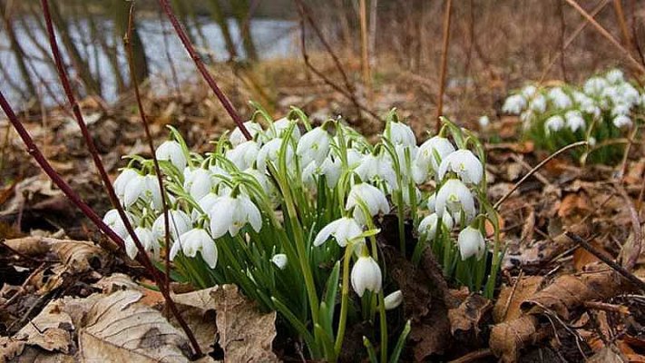 У Києві буде один із найтепліших днів тижня (прогноз погоди по містах України)