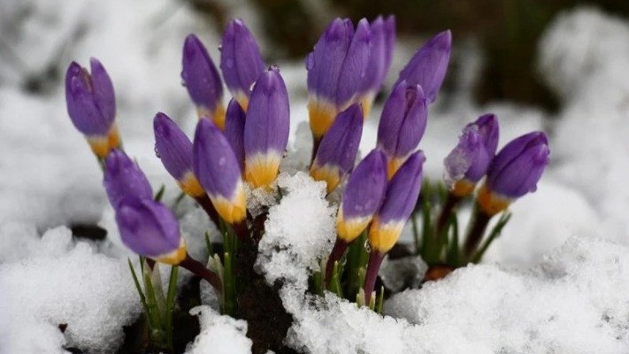 В Україну йде циклон зі Скандинавії з заморозками, снігом та грозами