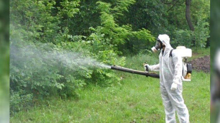 У Києві оброблятимуть парки від кліщів: де не рекомендують гуляти