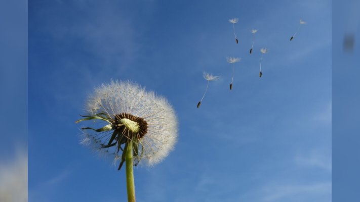 16 квітня 2024: яке церковне свято, що не можна робити