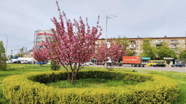 Новий циклон завтра принесе в столицю похолодання та інтенсивні дощі