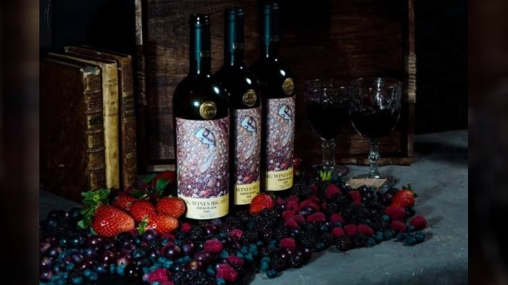 Aргентинські інвестори закладуть виноградник та вироблятимуть вино на Одещині
