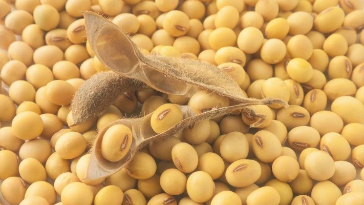 Ціни на сою сезонно відчувають тиск