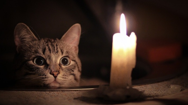 Відключення електроенергії: хто сьогодні ввечері буде без світла