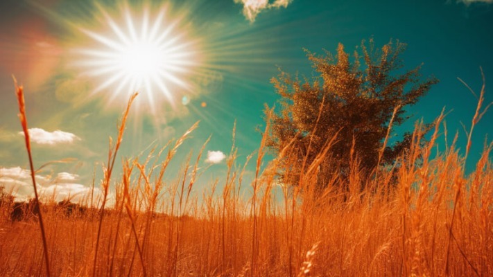 До плюс 60 °C: Україну “розжарить” до рекордних показників