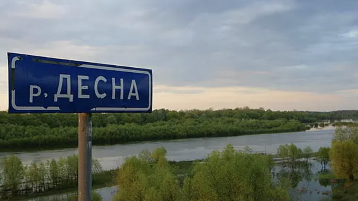 У Десні на Чернігівщині потемніла вода, фіксують масовий замор риби