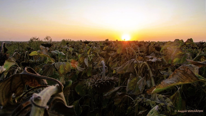 «Епос фактів», або Вкотре про наболіле