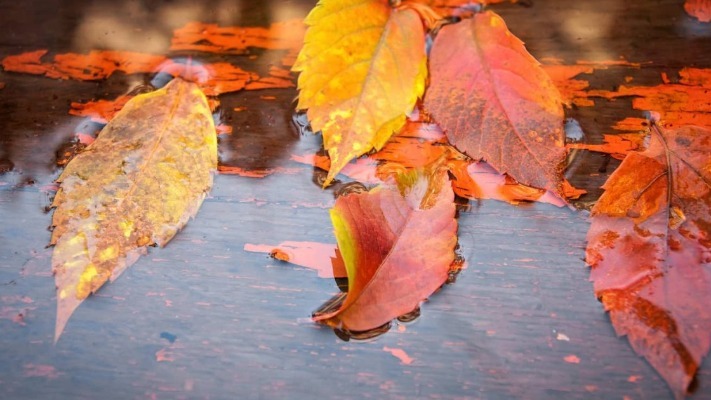 На вихідні литиме дощ: де очікувати найбільшу негоду