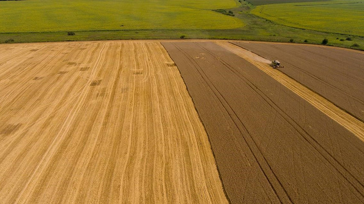 На полях бракує рук: як повномасштабна війна «висушує» агробізнес на Вінниччині