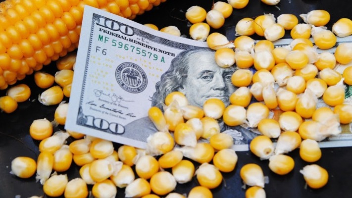 Ціни на кукурудзу під загрозою: нова політика США може змінити все