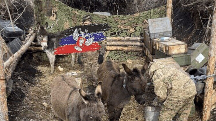 Через значні втрати техніки росіяни використовують для логістики віслюків – ЗМІ