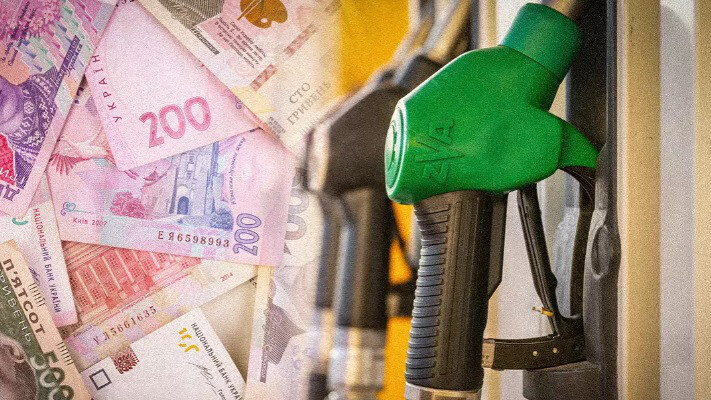 1 березня робота всіх АЗС може бути зупинена, - нардеп Южаніна