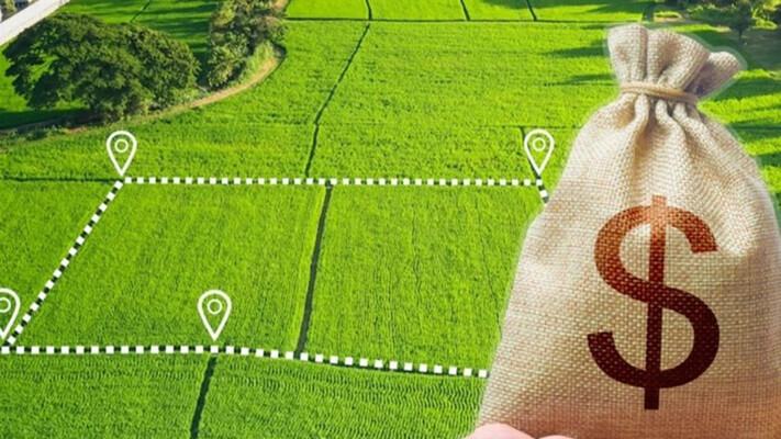 В Україні зросла вартість землі: у якій області найдорожчі ділянки