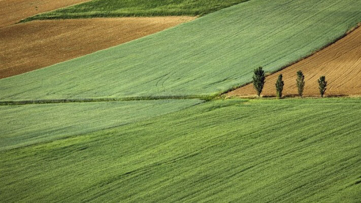 Які податки потрібно сплатити під час продажу землі в Україні
