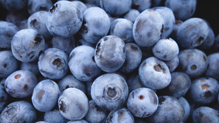 В Україні з’являться три нові сорти лохини