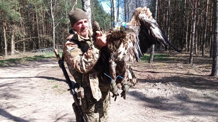 Неймовірна історія: прикордонники врятували червонокнижного птаха