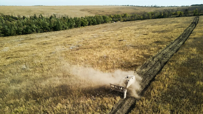 Літо 2025: спека та посуха загрожують врожаю в Україні