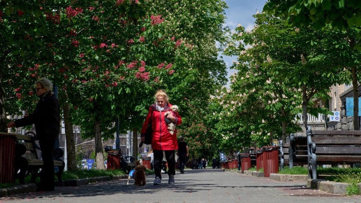 Що зміниться в Україні від 1 червня — нові ліміти на перекази, ВЛК, техогляд