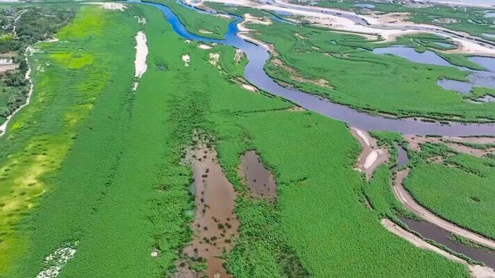 На Херсонщині замість Каховського водосховища запропонували створити заповідник