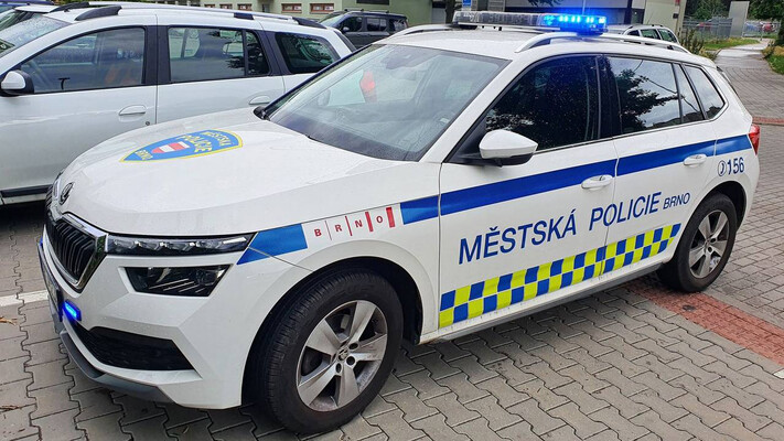 У Брно собака покусала велосипедистку на тротуарі — винними можуть визнати обох
