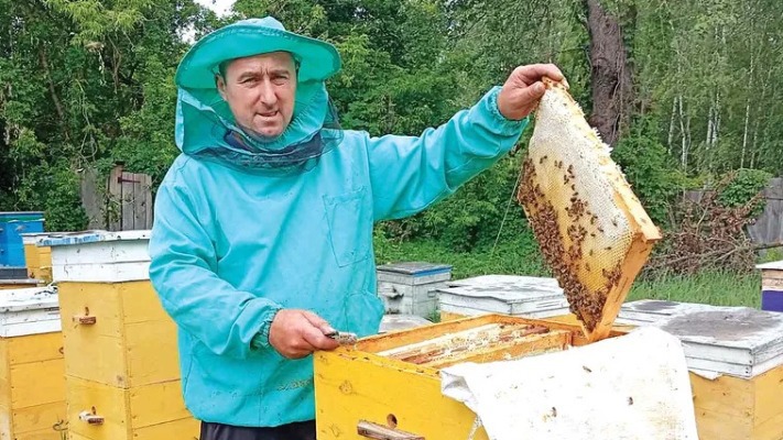 Історія переселенців, які врятували свою велику пасіку від війни