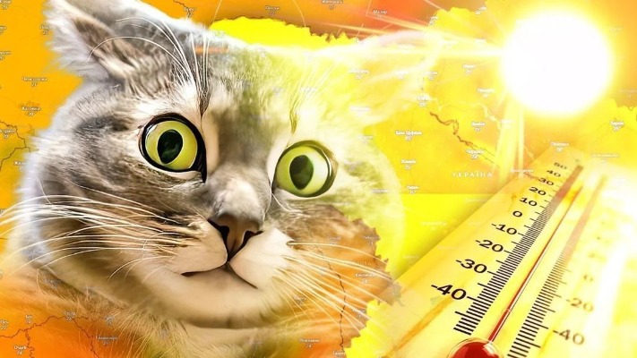 Прогноз погоди на липень: коли чекати на +40