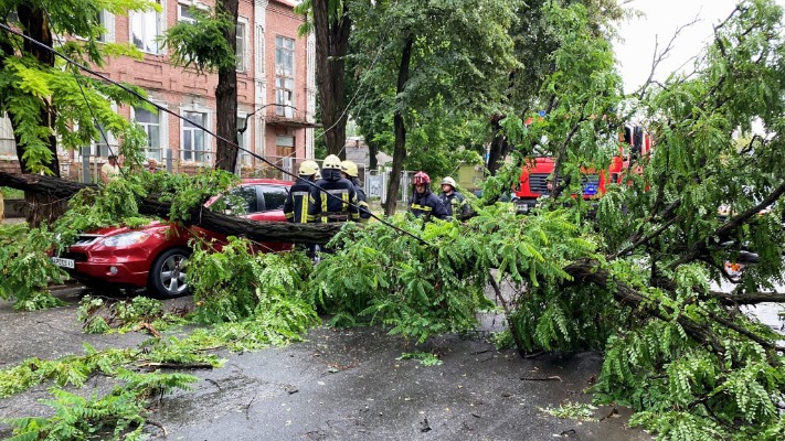 Тисячі людей без світла, повалені дерева і зірвані дахи: стихія накоїла лиха
