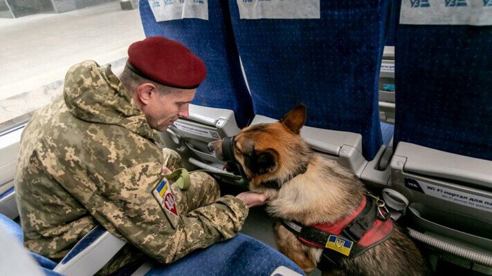 Укрзалізниця змінила правила перевезення тварин