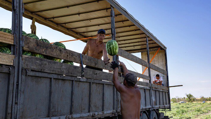 Поле бою — не метафора: шокуюча правда аграріїв Херсонщини