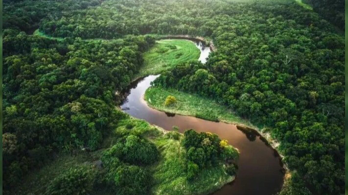 Вчені розгадали загадку зникнення амазонської цивілізації