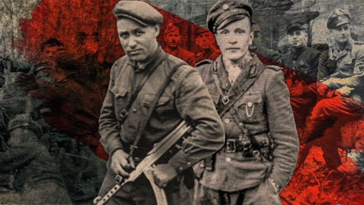 Історики в Україні відреагували на законопроєкт Навроцького щодо ОУН та УПА