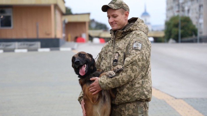 Український Хатіко: історія прикордонного пса Кая