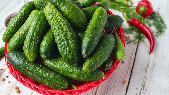На ринку огірків в Україні — дефіцит і ціновий стрибок через похолодання
