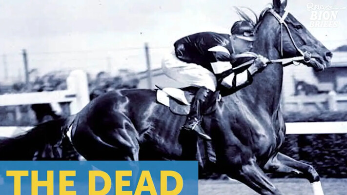 Стали відомі нові подробиці про мертвого жокея в сідлі, який феєрично виграв скачки